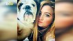 British Bulldog Obsessed With ‘The Lion King’ Goes Viral on TikTok!