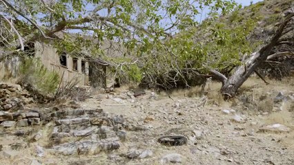 A Hermits Hidden Oasis in the Nevada Desert