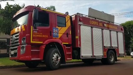 Captura de cobra mobiliza Bombeiros ao Santo Onofre