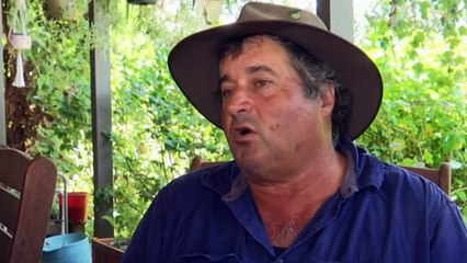 Queensland heatwave shows no sign of easing