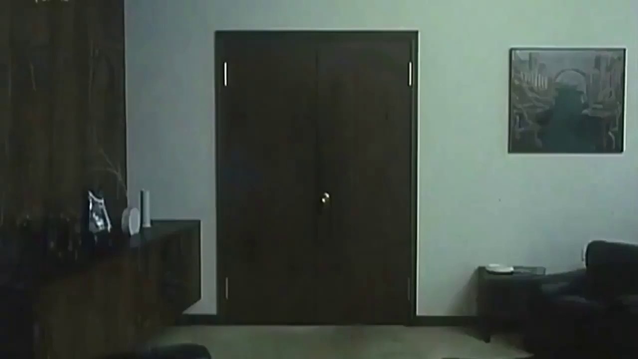 Original falsifikata (1991)