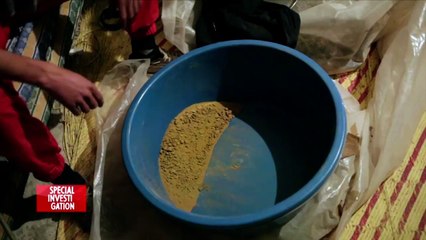 Au royaume du shit : extraction de la résine de cannabis