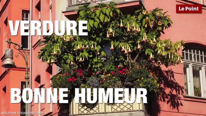 Les recettes de la bonne humeur #3 : Le bonheur est dans le pré !