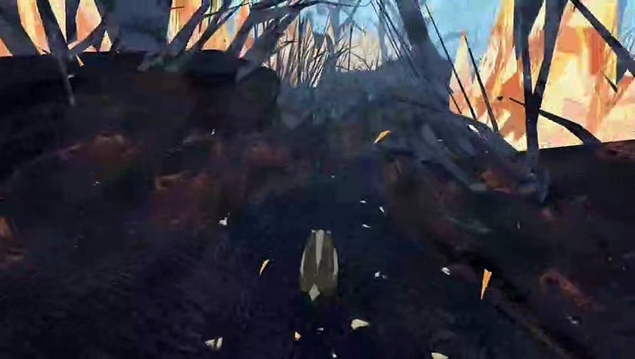 A Forest Fire! Pt 2