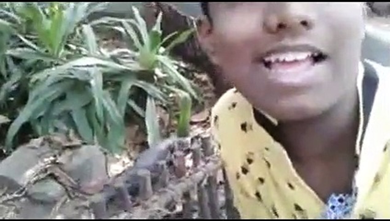 A trip to crocodile park