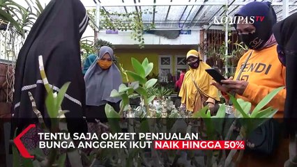 Berkah Usaha Pohon Anggrek Di Masa Pandemi