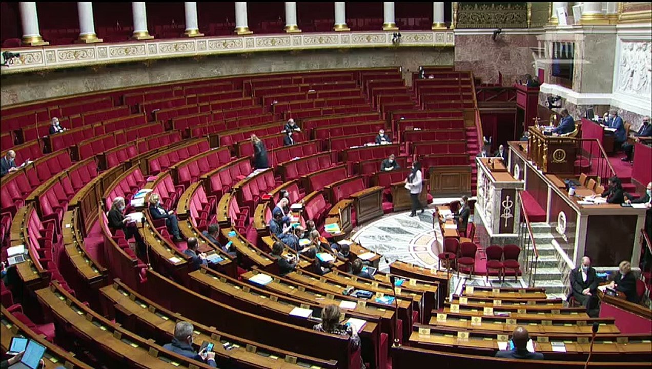 2ème séance : Répartition des conseillers de l’Assemblée de Guyane ; Système de santé par la confiance et la simplification ; réforme de  l'adoption  - Mercredi 2 décembre 2020