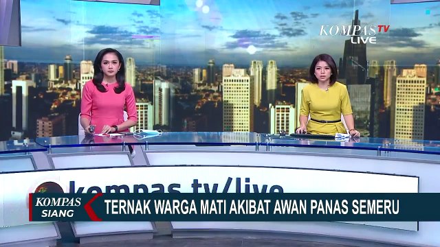 Waspada! Ini Dampak Guguran Awan Panas Gunung Semeru