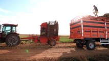 KONYA - Türkiye'de tarımsal üretimin sigortası: Konya Ovası