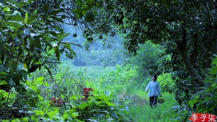¿Cómo hacer una deliciosa comida china de hongos?