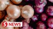 Rosol: Eye-watering price hike of onions due to floods in India