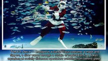 غواصة سانتا تضفي بهجة على حوض أسماك في طوكيو