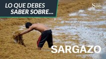 ¿Qué es el SARGAZO y cómo afecta a la salud? | Salud180