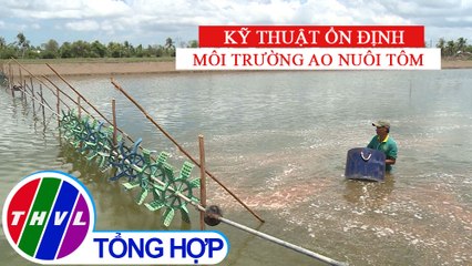 Bạn nhà nông - Kỳ 197: Kỹ thuật ổn định môi trường ao nuôi tôm
