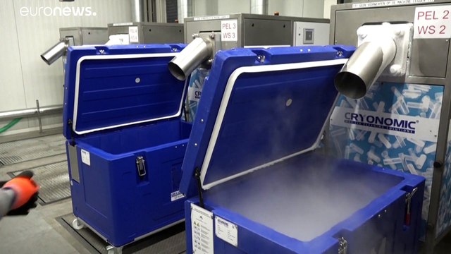 Лед этой зимой придется выпрашивать или покупать