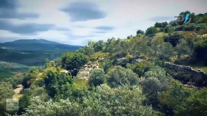 عمرها 10 آلاف سنة وشهدت قتل قابيل لهابيل: حقائق قد لا تعرفها عن سوريا