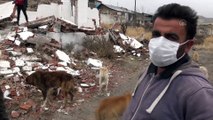 KARS - Kısmen boşaltılan köyde sahipsiz kalan köpeklere doğa koruma ekipleri sahip çıktı