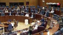 Encontronazo entre el presidente de la Asamblea con Mónica García y el consejero Lasquetty