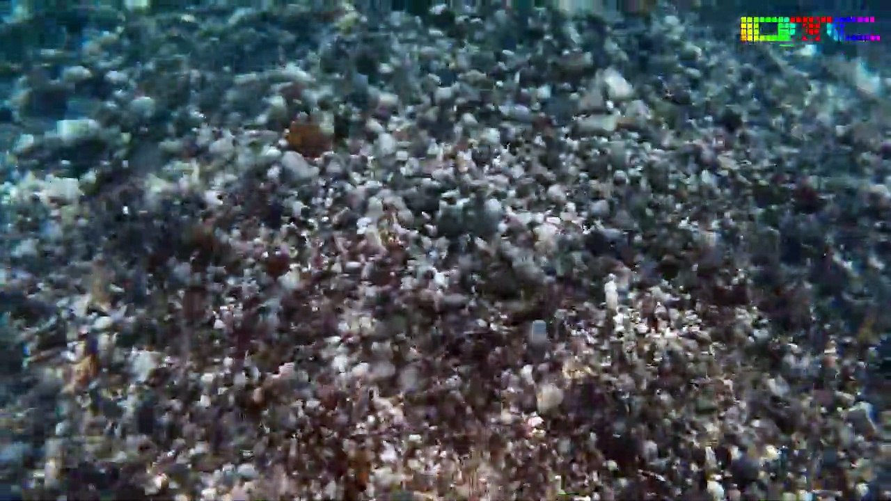 Antalya Konyaaltı Sahili Su Altı Görüntüleri - 2