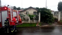 Árvore cai com a força do vento e obstrui saída de veículos em residência no Guarujá