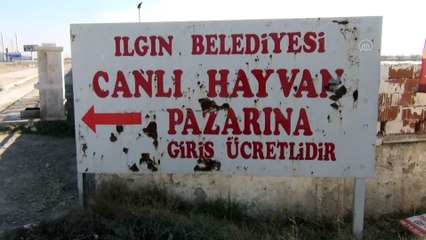 KONYA - Hayvan pazarında 'şap' karantinası
