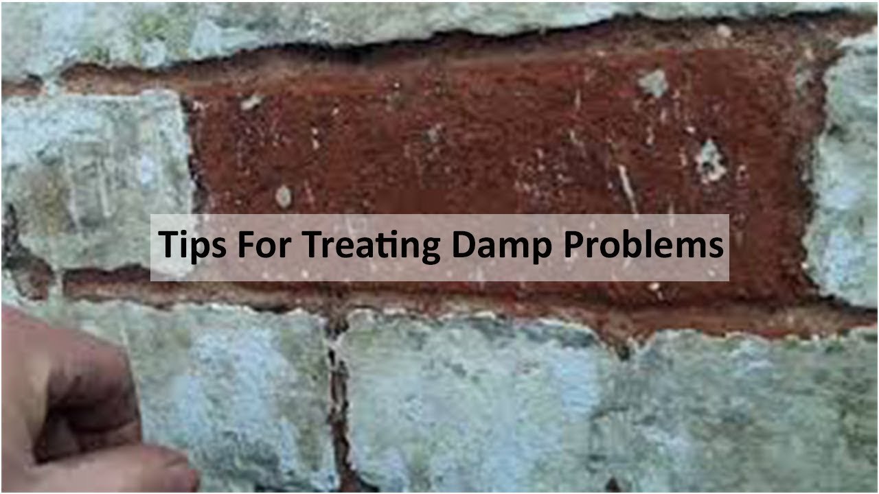 Tips For Treating Damp Problems | Zubaida Tariq