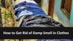 How to Get Rid of Damp Smell in Clothes | Zubaida Appa