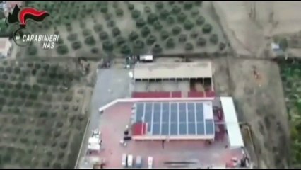 Crotone - Animali macellati senza controlli sanitari, 6 arresti (03.12.20)