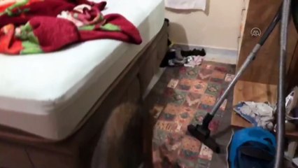 ANTALYA - Uyuşturucu ticareti iddiasıyla 3 zanlı tutuklandı