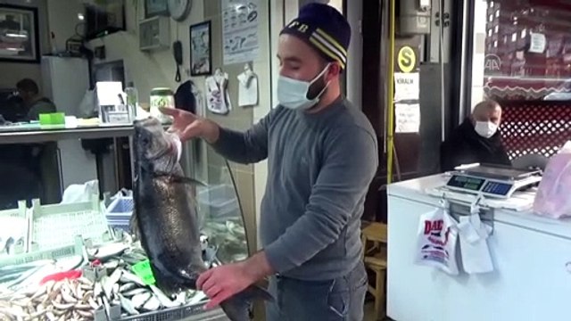 DÜZCE - Karadeniz'de ağlara takılan 8 kilogramlık levrek 1040 liradan satışa sunuldu