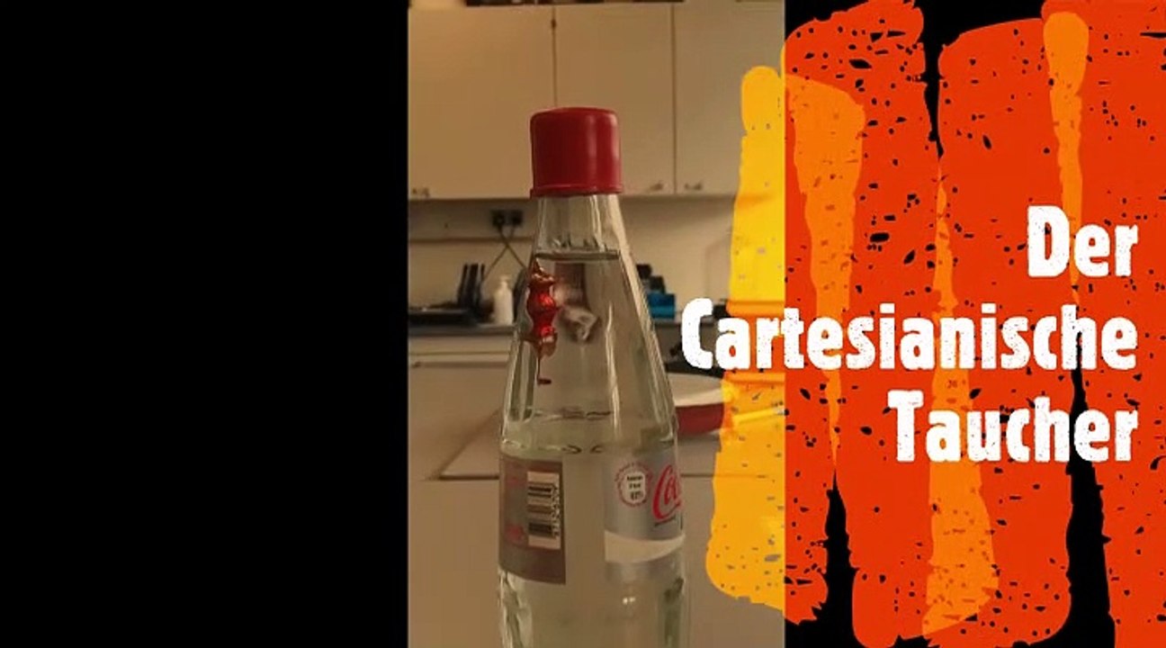 Der Cartesianische Taucher - Physik