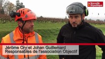 VIDÉO. Amboise : un chantier d'insertion pour abattre les peupliers malades