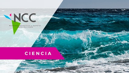 El ni­vel del mar au­men­ta 30 por cien­to más rá­pi­do des­de 1992