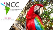 Noticiero Científico y Cultural Iberoamericano, emisión 296. 07 al 13 de Diciembre 2020