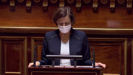 Budget 2021: Florence Parly présente le budget de la défense