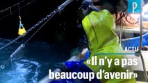 Brexit : l'inquiétude des pêcheurs de Boulogne-sur-Mer