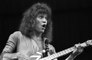 Three of Eddie Van Halen's guitars sold for $422,000