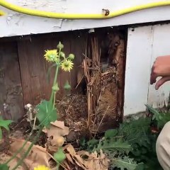 Ce couple découvre de l'alcool dans les murs d'une maison