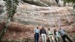 Thousands Of Ancient Paintings Discovered On Amazon Cliff Walls