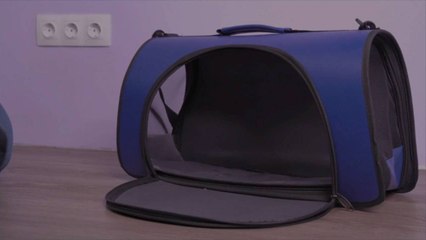 Emotional Support Animals No Longer Guaranteed the Right to Fly