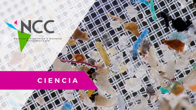 Ado­les­cen­te gana pre­mio por in­ves­ti­gar cómo ex­traer mi­cro­plás­ti­cos del agua