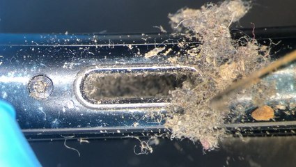 How iPhones are professionally cleaned