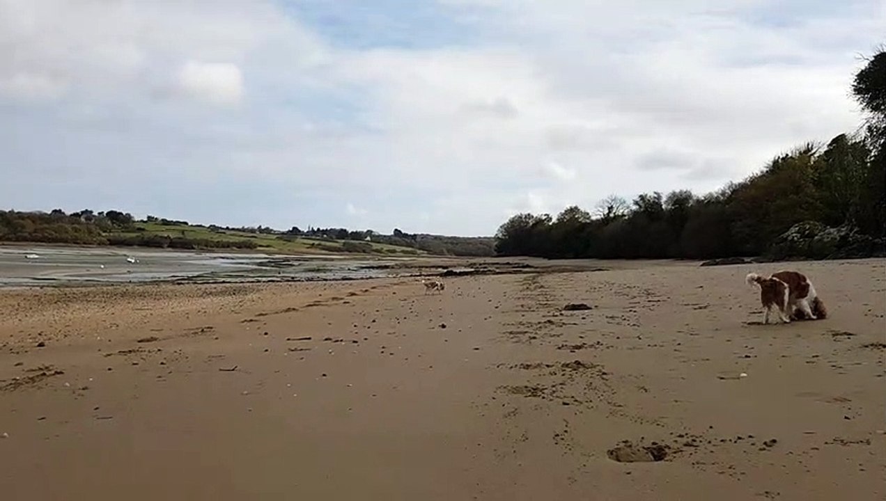 A la mer, les poilus
