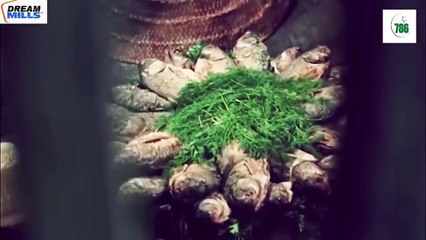 Yusuf (a.s) Ne Risalat Ka Ailan kab kiya II युसूफ ने रिसालत का ऐलान कब किया II #EGTV6