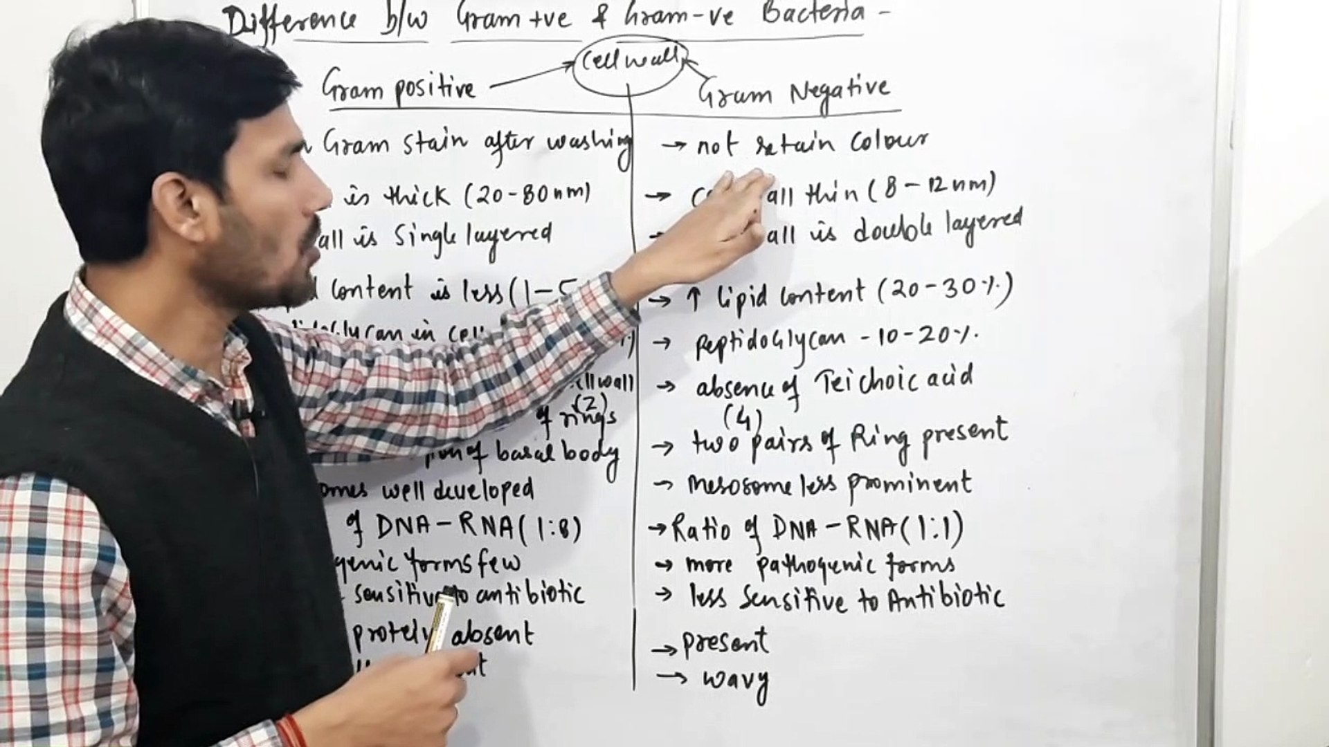 Difference b/w Gram Positive & Gram Negative Bacteria-Kingdom Monera