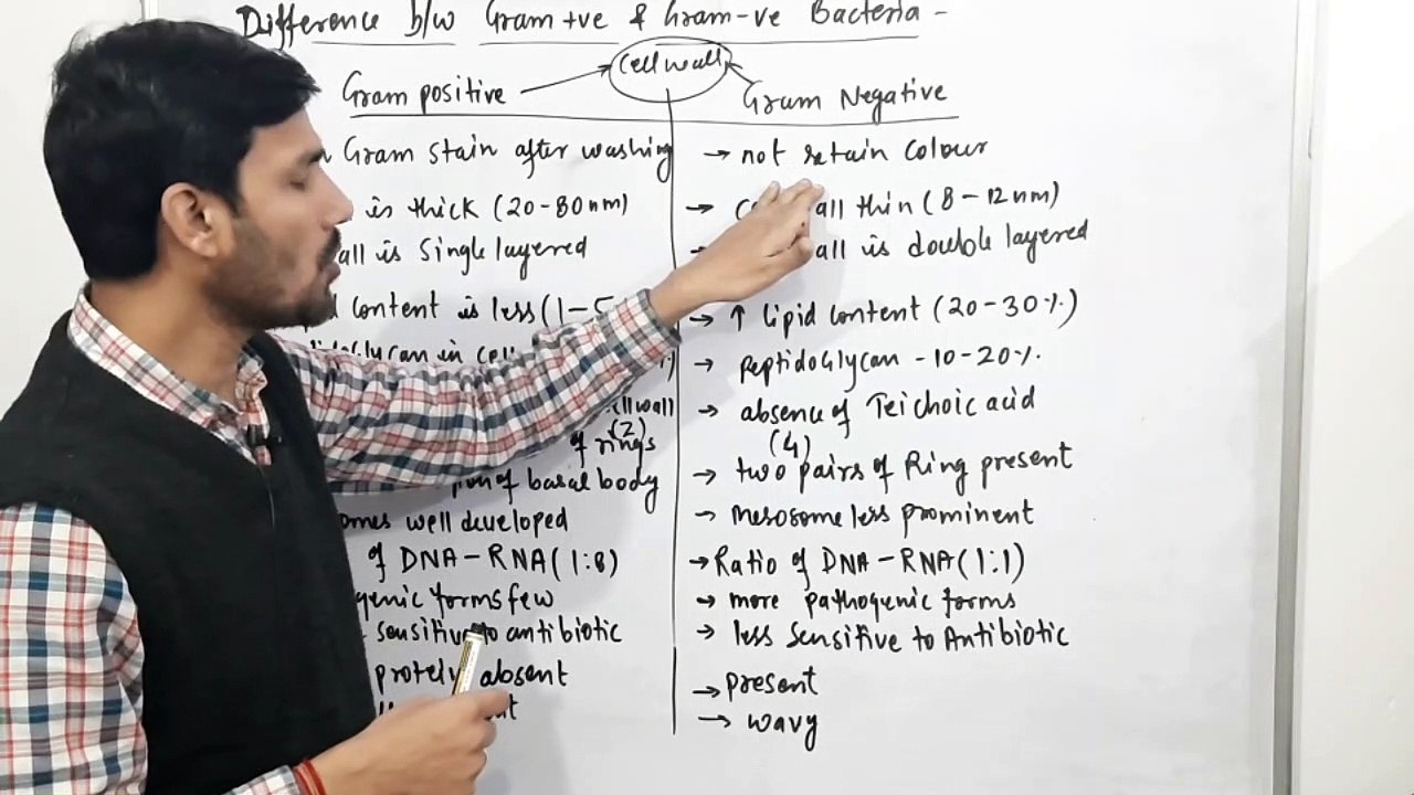 Difference b/w Gram Positive & Gram Negative Bacteria-Kingdom Monera