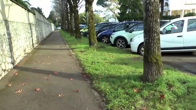 LES W-D.D. MICHOU64 NEWS - 27 NOVEMBRE 2020 - PAU - RAVALEMENT RÉSUMÉ DE LA SEMAINE N° 48 DU 23 AU 27 NOVEMBRE