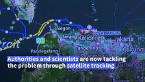 Trash tracking satellites help Indonesia tackle marine waste