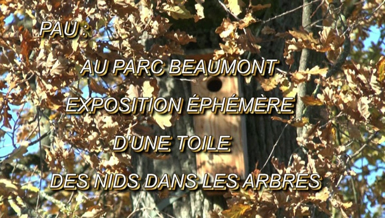 LES W-D.D. MICHOU64 NEWS - 30 NOVEMBRE 2020 - PAU - AU PARC BEAUMONT EXPOSITION ÉPHÉMÈRE D'UNE TOILE DES NIDS DANS LES ARBRES