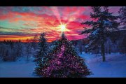 Beautiful Music & Song O Christmas Tree Vocals Jingle Punks , 8d Audio